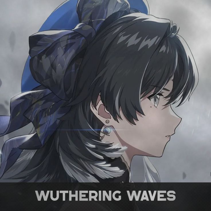 Wuthering Waves (Login)